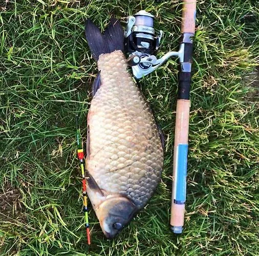 Centrum Wypoczynkowo-szkoleniowe * Остшице